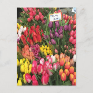 Tulips für den Verkauf NYC Blume Corner Bodega Fot Postkarte