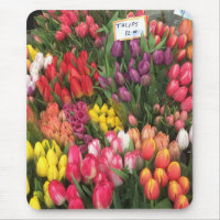 Tulips für den Verkauf von NYC Blume Stand Bauern