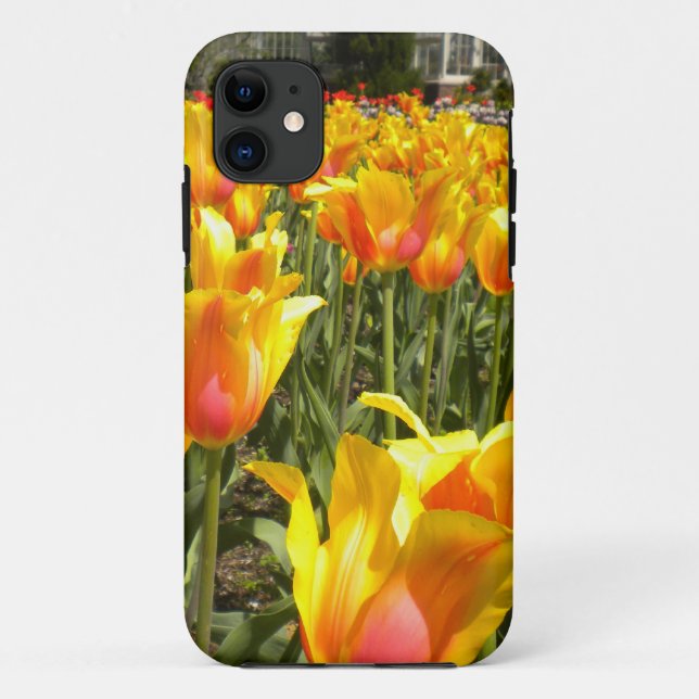 Tulips Galore iPhone 5 coque (Dos)