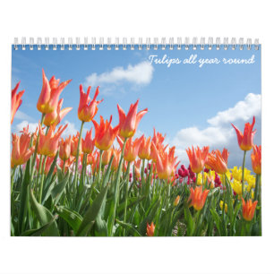 Tulips ganzjährig kalender