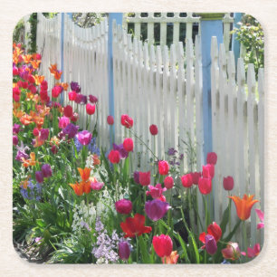 Tulips Garden Weißen Zaun quadratische Untersetzer
