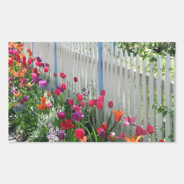 Tulips Garden Weißzaun Foto Aufkleber (Vorderseite)