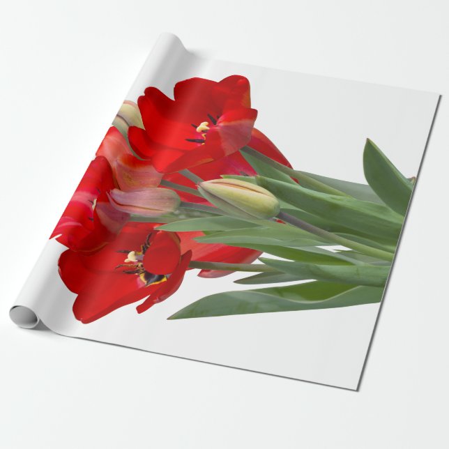 Tulips Geschenkpapier (Ungerollt)