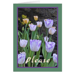 Tulips/Get well bald/von uns allen