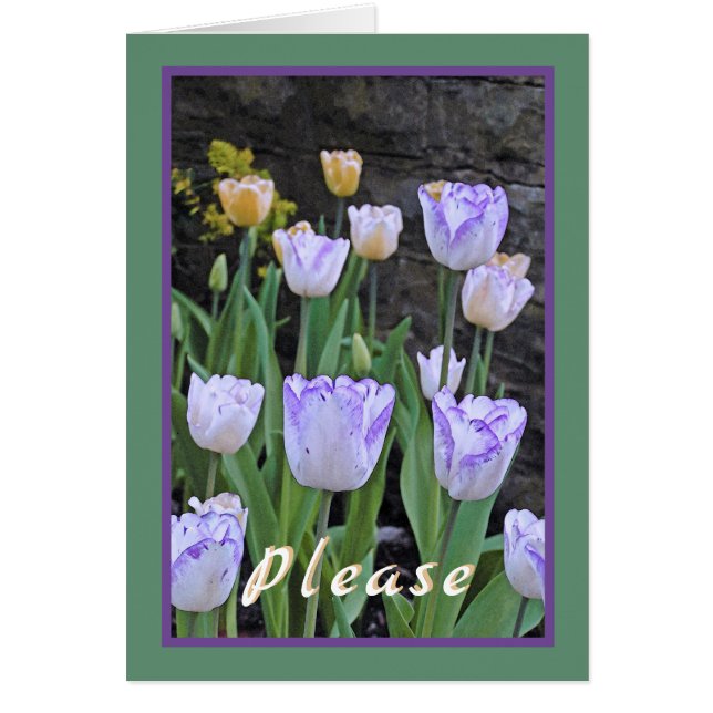 Tulips/Get well bald/von uns allen (Vorne)