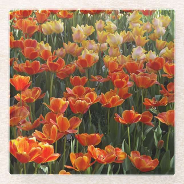 Tulips Glass Untersetzer (Vorderseite)