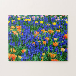 Tulips Grapezie Hyacinth Blume Field Colorful