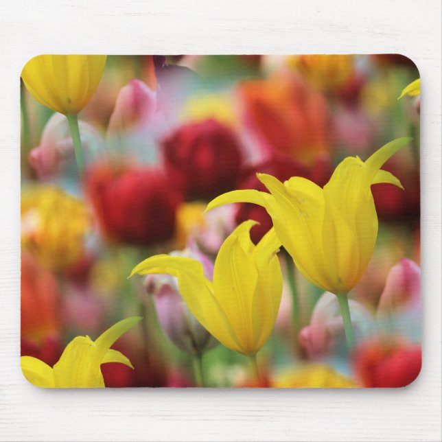 Tulips im Frühling Mousepad (Vorne)