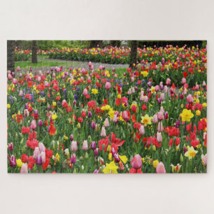 Tulips in Springtime Garden Weg farbenfroh