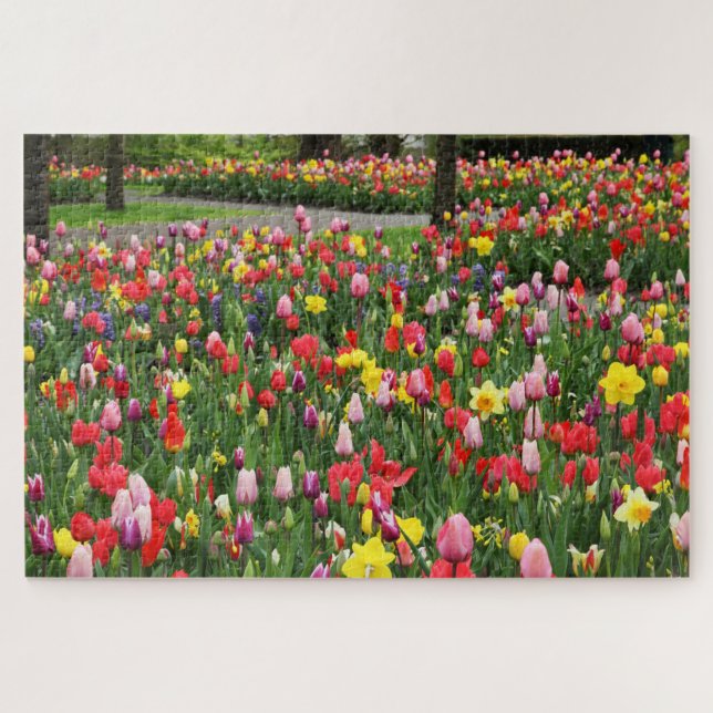Tulips in Springtime Garden Weg farbenfroh (Horizontal)