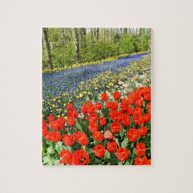 Tulips in Wäldern (Vertikal)