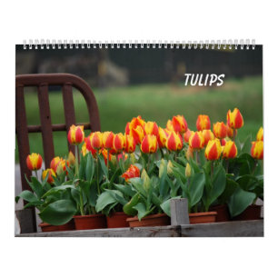 Tulips Kalender