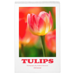 Tulips-Kalender 2020 Kalender