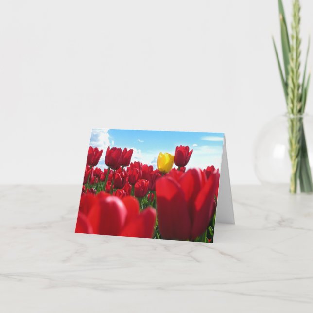 Tulips Karte (Vorderseite)