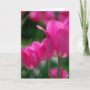 Tulips-Karte Karte