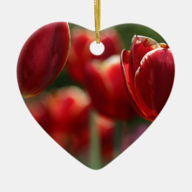 Tulips Keramikornament (Vorne)