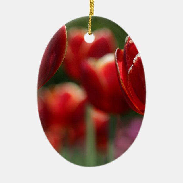Tulips Keramikornament (Vorne)