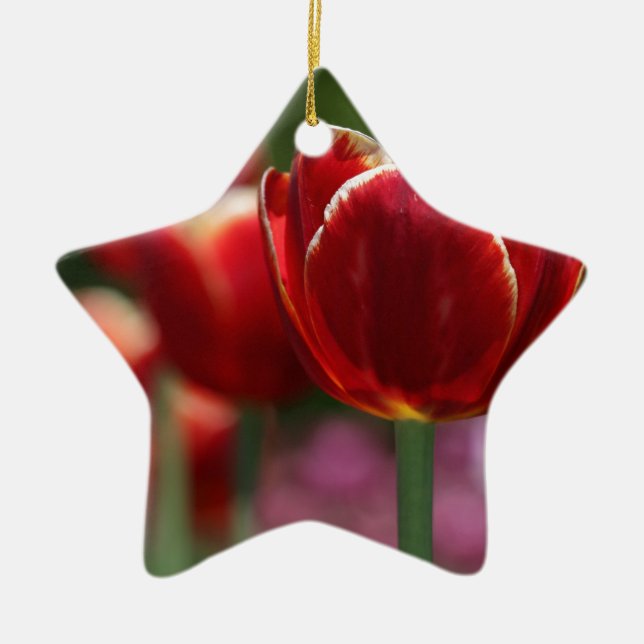 Tulips Keramikornament (Vorne)
