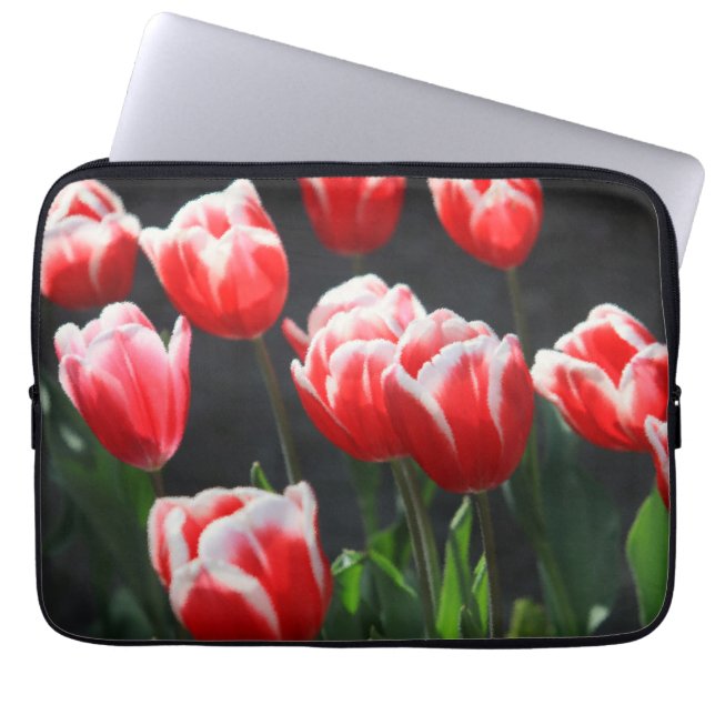 Tulips Laptopschutzhülle (Vorderseite)