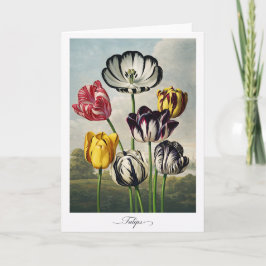 Tulips — Modern Botanical Reinterpretation Karte