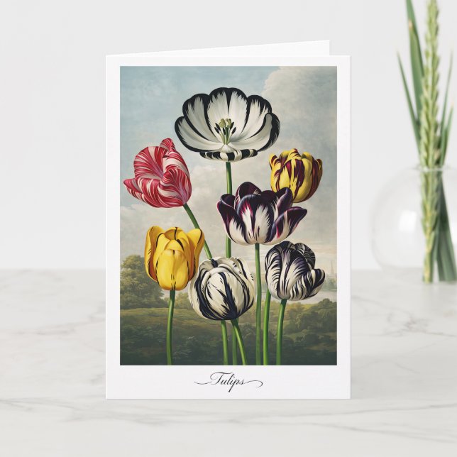 Tulips — Modern Botanical Reinterpretation Karte (Vorderseite)