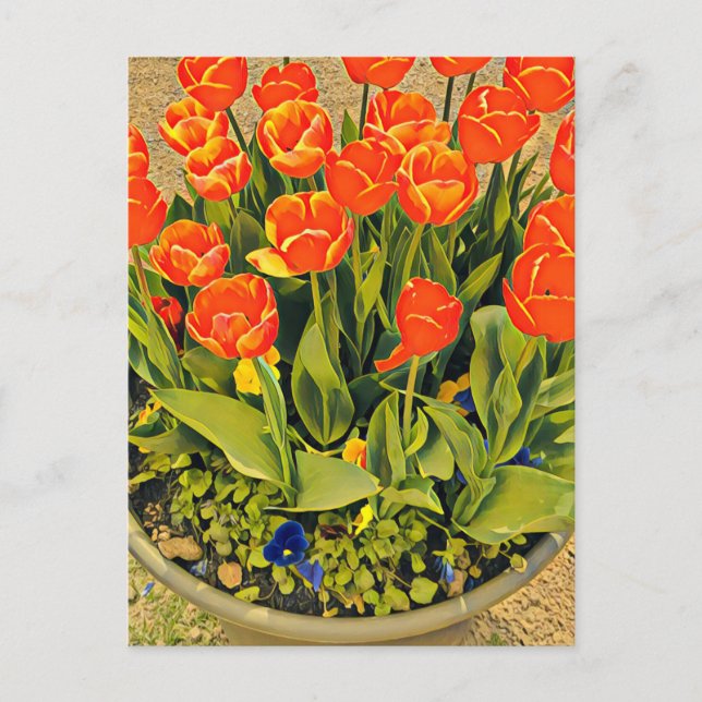 Tulips Modernes Fest der Blume Postkarte (Vorderseite)