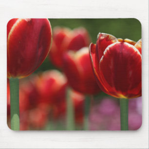 Tulips Mousepad
