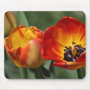Tulips Mousepad
