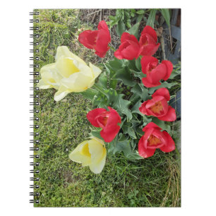 Tulips Notizblock