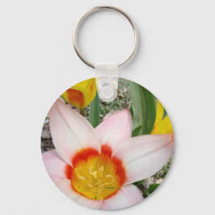TULIPS PINK TULIP BLUME 9 Karten Kunstgeschenke Schlüsselanhänger