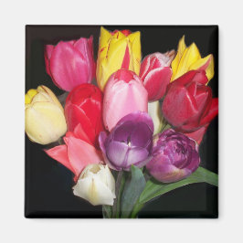 Tulips sagt alles magnet