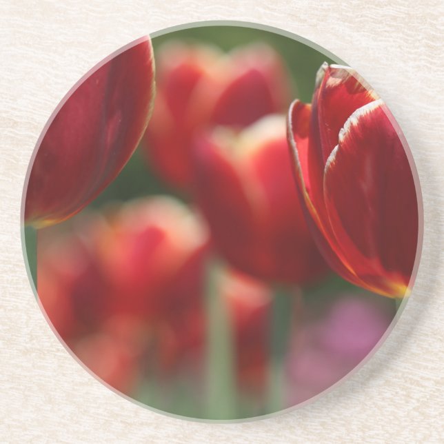 Tulips Sandstein Untersetzer (Vorne)