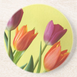Tulips Sandstone Untersetzer