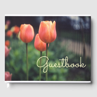 Tulips Spring Floral Tulip Garten Hübsche Blume Gästebuch