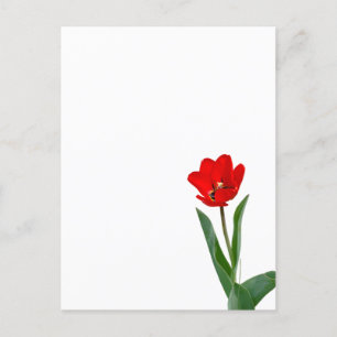 Tulips Temporary Tattoos Postkarte