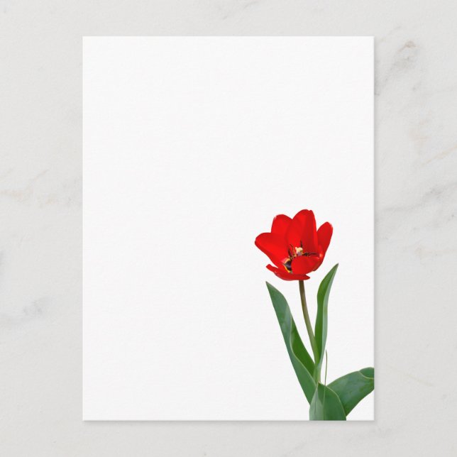 Tulips Temporary Tattoos Postkarte (Vorderseite)