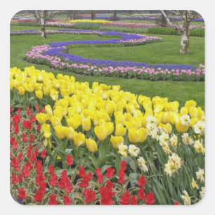 Tulips, Traubenblutinth und Affodilen, Quadratischer Aufkleber