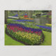 Tulips, Traubenblutinth und Narzissen, Postkarte (Vorderseite)