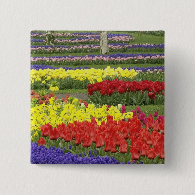 Tulips, Traubentrester und Affodils, 2 Button (Vorderseite)
