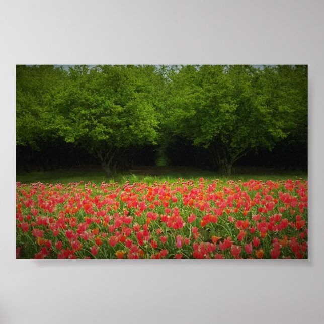 Tulips & Trees Poster (Vorne)