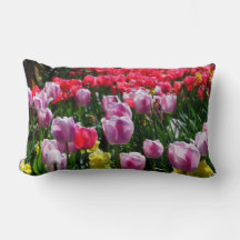 Tulips und Affodien
