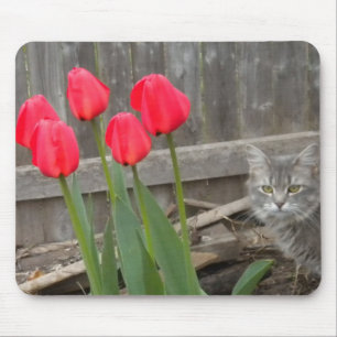 Tulips und das Kitten Mousepad