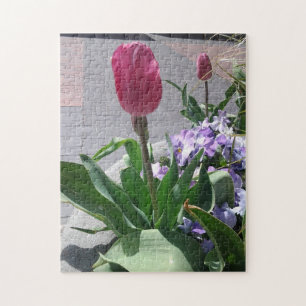 Tulips und Stiefmütterchen