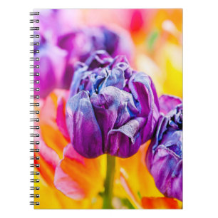 Tulips verzaubern 14 notizblock