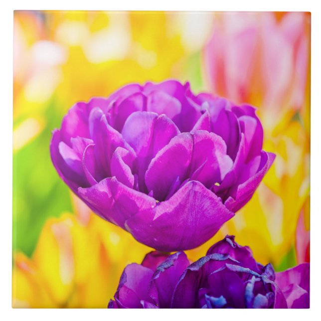 Tulips verzaubern 15 fliese (Vorderseite)