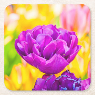 Tulips verzaubern 15 rechteckiger pappuntersetzer