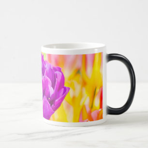Tulips verzaubern 15 verwandlungstasse