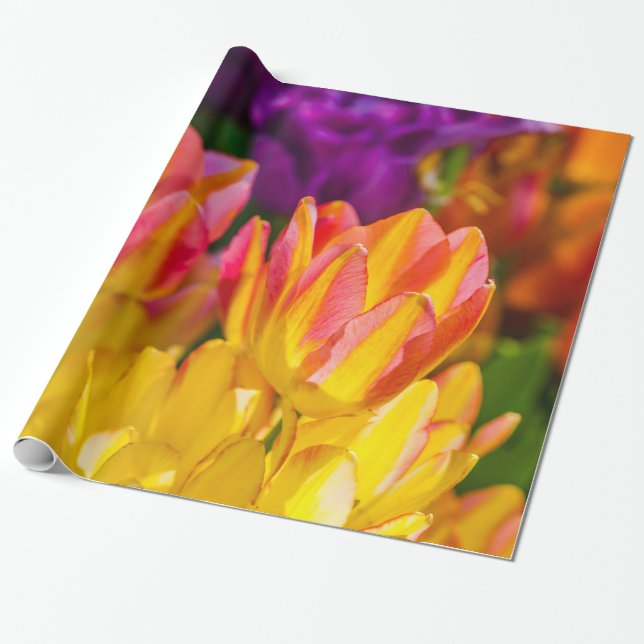 Tulips verzaubern 16 geschenkpapier (Ungerollt)