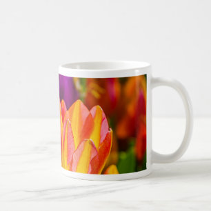 Tulips verzaubern 16 kaffeetasse