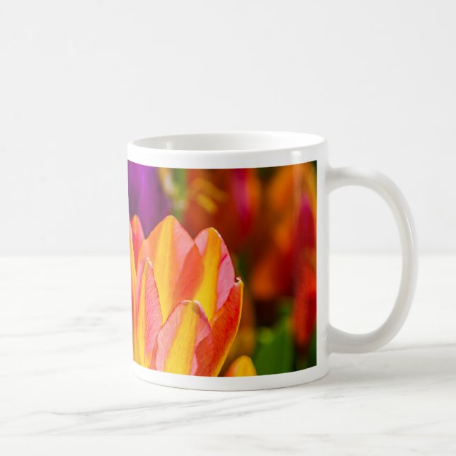 Tulips verzaubern 16 kaffeetasse (Rechts)